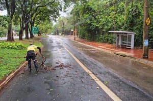 Temporal de 2 de novembro provocou quedas de árvores e mobilizou operação viária em Ribeirão Preto