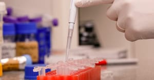 Grupo da EERP faz testagem rápida para HIV, sífilis e hepatites na rodoviária de Ribeirão Preto