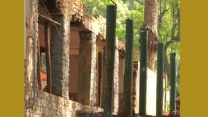 Casa histórica próxima ao Museu do Café desaba durante reforma no campus da USP