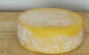 Vereador protocola projeto para reconhecer queijo canastra como patrimônio imaterial de Ribeirão Preto