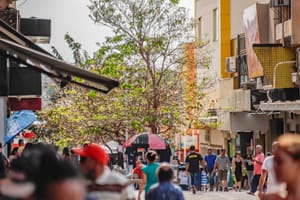 Prefeitura de Ribeirão Preto divulga funcionamento dos serviços durante Natal e Ano Novo