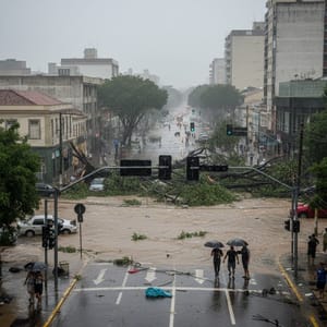 Chuva causa queda de árvores e deixa semáforos fora de operação em pontos de Ribeirão Preto