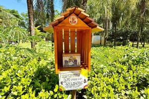 Escola em Jardim Florestan Fernandes inaugura meliponário educativo com colmeias de abelhas sem ferrão