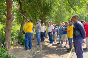 Ribeirão Preto credencia 86 podadores após capacitação para evitar podas irregulares