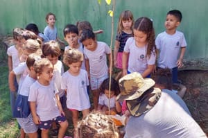 Escola do Jardim Sumaré recebeu minicafezal didático do programa Planta Aí Ribeirão