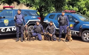 Canil da GCM de Ribeirão Preto investe em formação precoce para cães farejadores combaterem tráfico perto de escolas