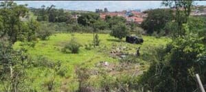 Vendedor ambulante morre atingido por caminhonete na SP-333 em Cajuru