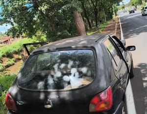 Carro sobe em calçada e atinge árvore na Via Norte; motorista apresentava sinais de embriaguez