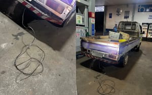 Idoso é filmado arrastando cadela prenha por quilômetros em Igarapava; animal e 10 filhotes morreram