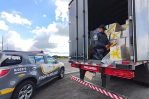 PM Rodoviária apreende 955 kg de maconha ocultos em carga de óleo na Rodovia Castelo Branco