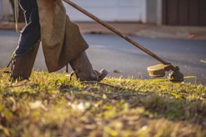 Ribeirão Preto intensifica roçadas e forma força‑tarefa para conter crescimento acelerado da vegetação