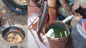 Secretaria de Saúde de Sertãozinho aponta os 10 locais domésticos mais comuns para criadouros do Aedes