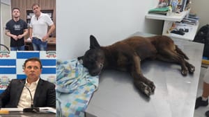 Ribeirão Preto terá protesto por punição no caso do cão 'Orelha' neste domingo