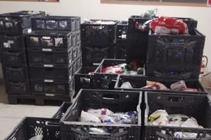 Doações de show da cantora Anitta rendem duas toneladas de alimentos ao Fundo Social