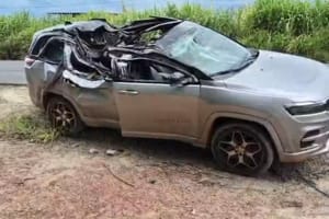 Bebê de 1 ano morre após eucalipto cair sobre carro na MG-444; investigação mira proprietário da plantação