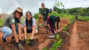 Projeto agroflorestal transforma área no Conjunto Padre Donizeti em Santa Rosa de Viterbo