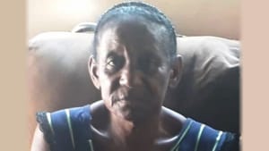 Idosa atropelada por assessor em Cajuru morre um mês após acidente, diz polícia