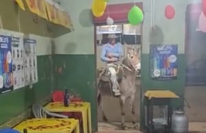 Homem é investigado após ser filmado agredindo mula para fazê-la entrar em bar