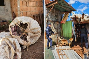 GCM apreende fios da CPFL e drogas em ferro-velho da zona Norte de Ribeirão Preto