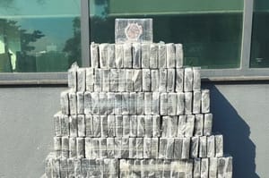 Polícia apreende 325 kg de cocaína em caminhonete na SP-310 em Araraquara