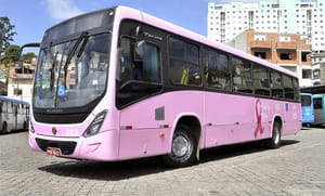 Câmara aprova implantação da 'Linha Rosa' no transporte público de Ribeirão Preto