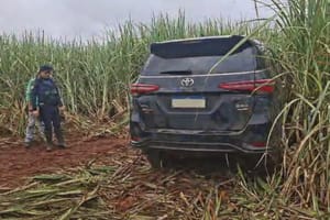GCM recupera caminhonete furtada abandonada em canavial próximo à José Fregonezi