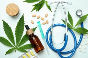 Anvisa aprova regras para cultivo de cannabis medicinal e amplia acesso a pacientes