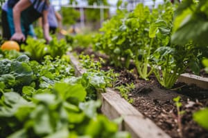 Ribeirão Preto recebe capacitação gratuita sobre regularização sanitária e autocontrole na produção de alimentos