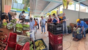 Programa de Aquisição de Alimentos leva hortifrútis a famílias de Dumont, Serrana e região