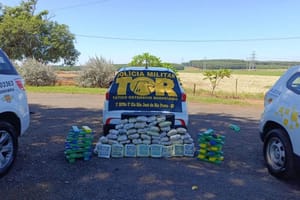 Casal é preso em Olímpia com mais de 91 kg de maconha e skunk avaliados em R$ 619 mil