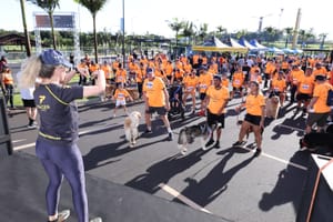 Cãorrida e Cãominhada terá campanha de adoção de cães