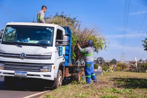 Prefeitura reorganiza serviço de poda e coleta por bairros e amplia ritmo de trabalho