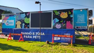 Curso gratuito de banho e tosa começa em Sertãozinho com mais de 50 inscritos