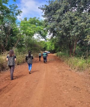 Descarte irregular liderou denúncias ambientais em Sertãozinho no 1º trimestre de 2026