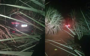 Três mortos após troca de tiros com Baep em canavial após furto de caminhonete em Ribeirão Preto