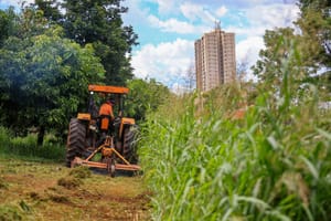Prefeitura conclui reorganização e amplia roçadas preventivas na zona Norte de Ribeirão Preto