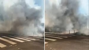 Incêndio em vegetação assusta moradores do Planalto Verde em Ribeirão Preto
