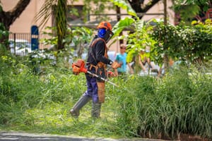 Prefeitura intensifica roçada e avança na região Norte; Oeste será atendida em breve