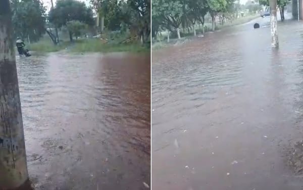 Chuva vespertina causou alagamentos e queda de galhos em vários pontos de Ribeirão Preto