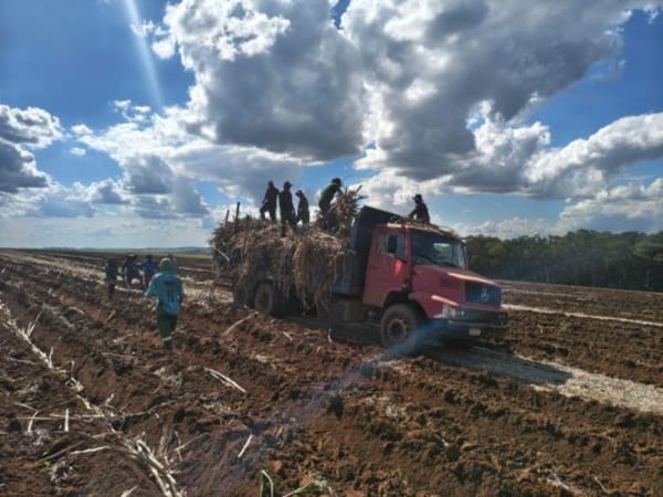 MPT resgata 22 trabalhadores em condições análogas à escravidão em Batatais e firma acordo com empregador
