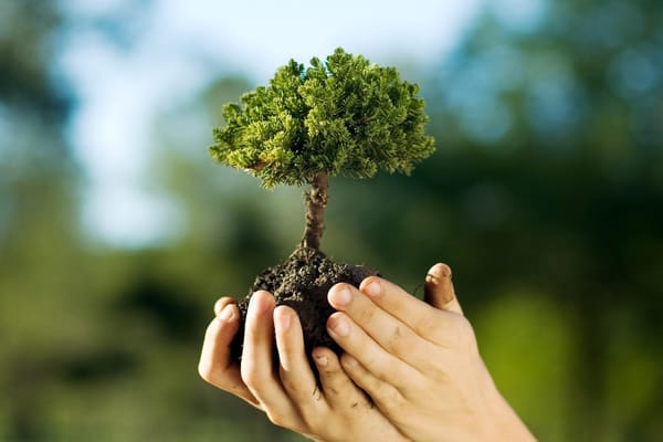 Ribeirão Preto lança programação de junho para enfrentar mudanças climáticas e prevenir queimadas
